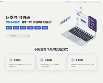 支付系统开发软件定制服务 - 辰宇软件开发工作室